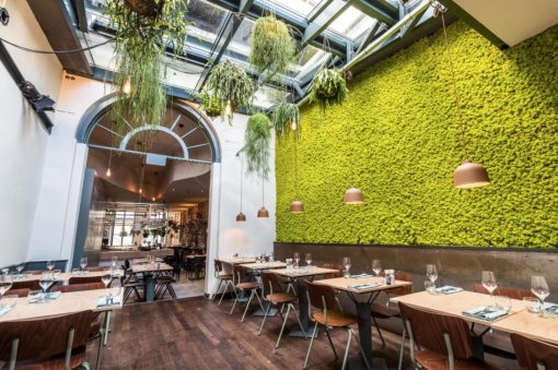 Restaurant Spingaren. Diner Amsterdam. Uiteten Amsterdam. Herengracht. Food Amsterdam. Iedereen moet zich welkom voelen. Dat is het uitgangspunt van restaurant & proeflokaal Spingaren op de Herengracht. Van volhardend carnivoor, alleseters tot fanatieke veganisten. De op maat gemaakte menu’s van Spingaren maakt iedere eter blij. Wat alles met elkaar verbindt? De aandacht en tijd die in ieder gerecht gestoken is. Believe me, dat proef je terug! We hebben weer een hele fijne foodspot voor jullie klaarstaan: Restaurant Spingaren.